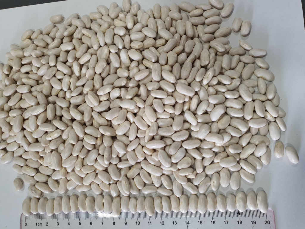 Продавам БОБ