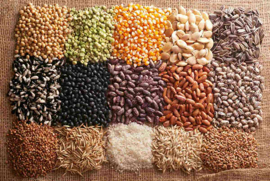 Семена за продан - посев