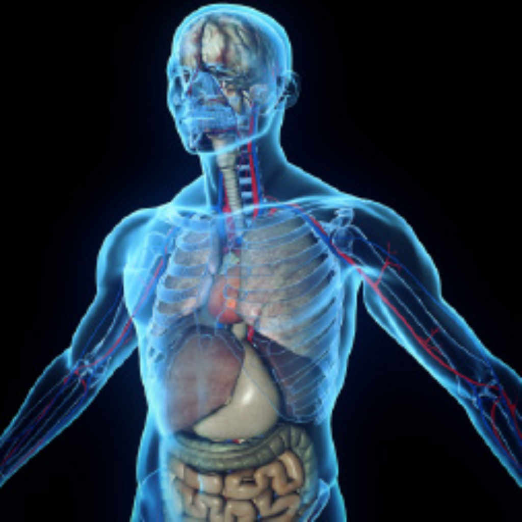 МАГНИТО-РЕЗОНАНСЕН АНАЛИЗ за ранна диагностика с включено разчитане и обяснение на резултатите от измерването