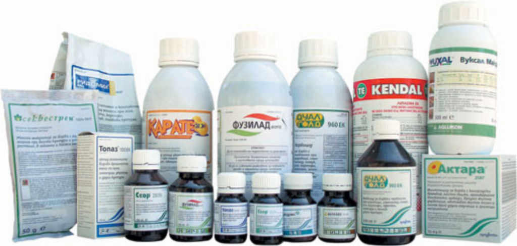 Услуги &#x2F; Клиничен ... - Централна ветеринарна клиника