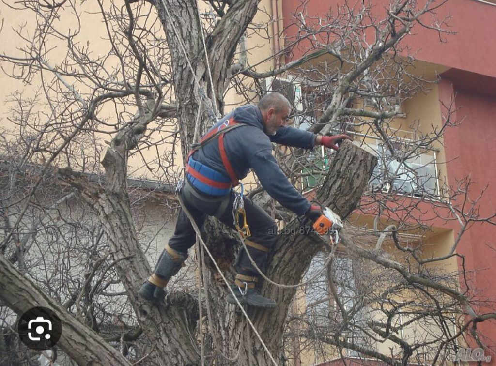 Почистване на тавани от гълъби тераси - Замрежване - По всяко време