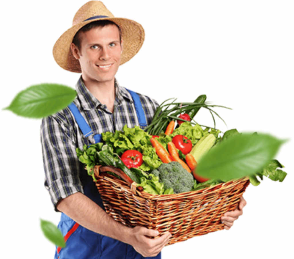 градинска люлка