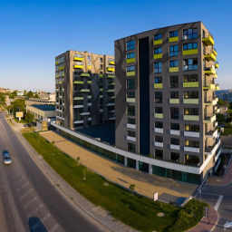 Татяна Петрова